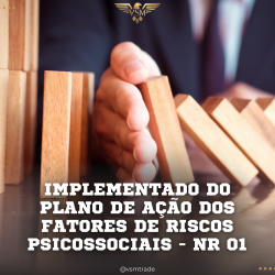 implementado do plano de acao